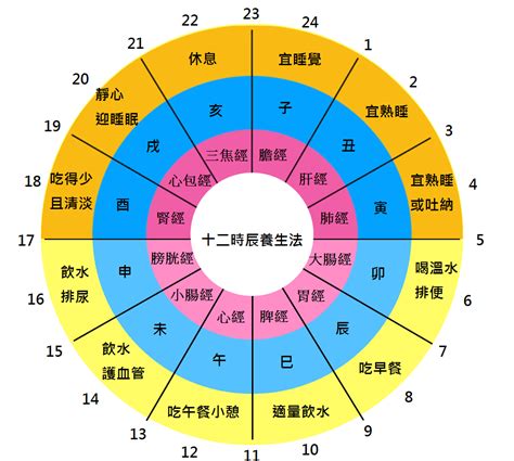 十二時辰經絡表|一張圖看十二經絡養生時間表，依循作息養生事半功倍！